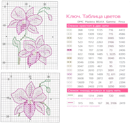 Схема вышивки крестом орхидеи